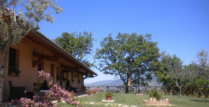 Agriturismo I mille Ulivi