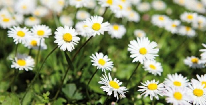 offerta 25 aprile in agriturismo perugia