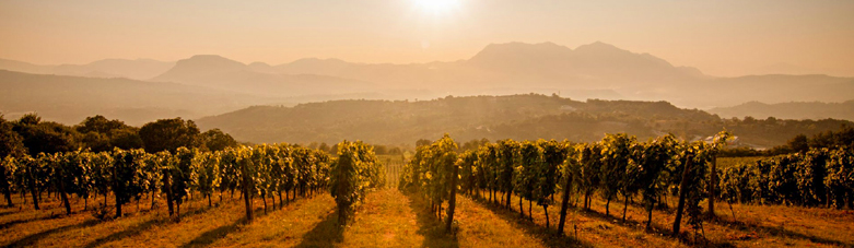 Umbria grida Terra Umbria Turismo e vendita di prodotti tipici dell